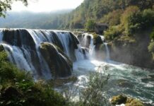 A Plan Found in a Captured Bulgarian’s Clothing