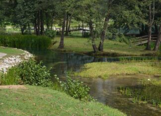 The Sultan’s Sons Family Tensions and Royal Favorites