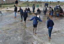 Organization of the Obstetric and Gynaecological Microregion