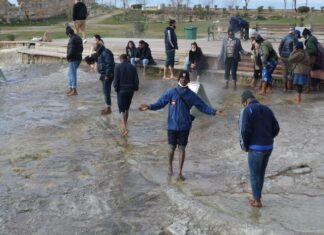 Organization of the Obstetric and Gynaecological Microregion